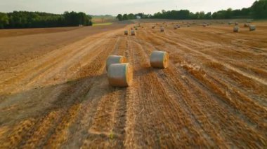 Hasat alanına saman balyaları saçılmış ve tepeler yuvarlanmış..