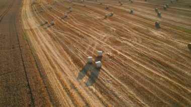 Silindirik saman balyalarının akşam ışığında kuru ve kahverengi topraklara saçıldığı biçilmiş bir tarlanın havadan görüntüsü..