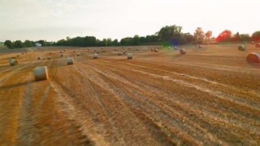 Altın saat boyunca bir tarladaki saman balyalarının havadan görünüşü. Ağaçlar ve uzak mesafedeki bir ev..