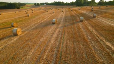 Saman balyaları görünür traktör izleriyle bir alana saçılmış..