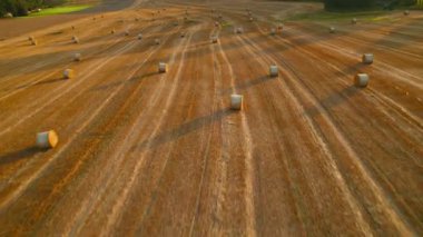 Saman balyaları ve uzun gölgelerle biçilmiş bir tarlanın gün batımı manzarası.