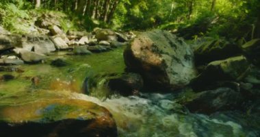 Ağaçların arasından süzülen filtrelenmiş güneş ışığının ılık parıltısı altında kayaların üzerinden akan temiz su..