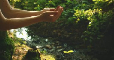 İki kişinin elleri bir ormanın içinde gün ışığında küçük bir fidanı geçiyor..