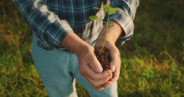 Yaşlı bir adam iki elinde bir fidan tutar ve genç bir kadına bir ağaç verir..