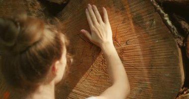 Güneşli bir yaz gününde ormanda yüzükleri gösteren büyük bir ağaç kütüğüne dokunuyorum..