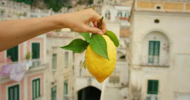 İtalya 'daki tarihi Atrani binalarının üzerinde taze yapraklı limon yakın plan..