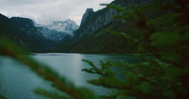 Avusturya 'da yemyeşil ormanlar ve yüksek dağlarla çevrili manzaralı dağlık bir göl..