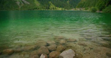 Avusturya gölünün berrak suları altında yeşil yemyeşil taşlarla çevrili görülebilir taşlar var..