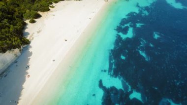 Beyaz kumsal, Kefalonia 'daki ormanlık bir sahil şeridi boyunca parlak mavi sularla buluşur..