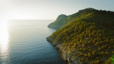Kefalonia 'da yaz aylarında sakin denize uzanan kayalık yarımadadaki yoğun yeşil orman.