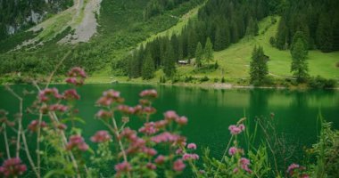 Ön planda çiçekler ve arka planda ormanlı dağlarla dolu Alp Gölü Gosausee..