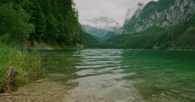 Gosau Gölü 'nün zümrüt yeşili suları dağ yansımaları ve yemyeşil bitki örtüsüyle yavaşça dalgalanır..
