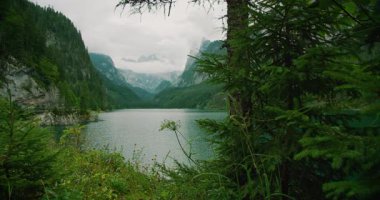 Alp Gölü, yoğun orman ve Gosausee Avusturya 'da yükselen kayalıklarla çevrilidir..