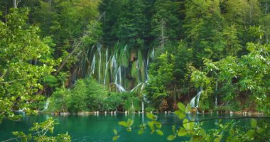 Plitvice Gölleri Hırvatistan 'daki zümrüt göle dökülen birden fazla şelalesi olan yosun kaplı uçurumlar.