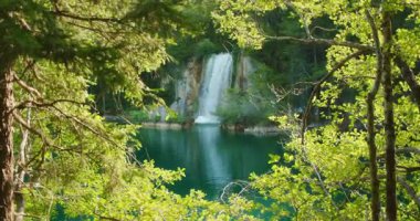 Şelale, Plitvice Gölleri Ulusal Parkı 'ndaki yemyeşil ağaçlarla çevrili sakin göle akar..