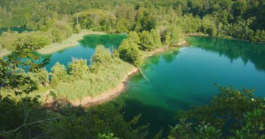 Plitvice Gölleri Ulusal Parkı Hırvatistan 'da turkuaz rezervuar ve sık orman manzarası.