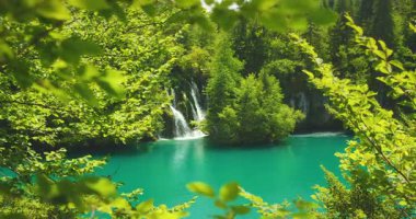 Şelale, orman Plitvice Ulusal Parkı ile çevrili turkuaz göle akar..