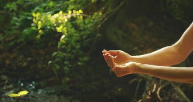 Bakımın mirası her seferinde bir fidyeden geçer..