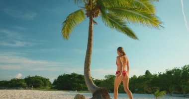 Bikinili kadın Riviera Maya Mexico 'daki kumlu sahilde eğilmiş palmiye ağacına tırmanıyor..