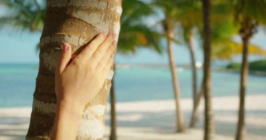 El, arka planda tropikal kumsal olan palmiye gövdesini nazikçe okşar.