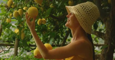 Yaz günü Amalfi sahilinde limon toplarken gülümseyen bir kadın..