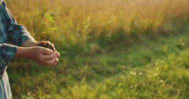 Eller, Dünya 'nın geleceği için ortak ilgiyi sembolize eden topraklı genç bir ağacın yanından geçiyor. Dünya Çevre Eğitim Günü.