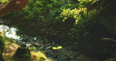 Dünya Çevre Günü 'nde birliği simgeleyen bir tohumu bir arada tutan eller.