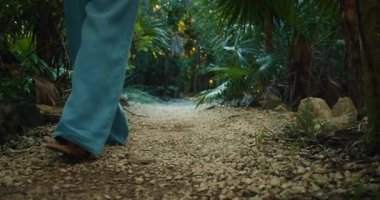 Koyu yeşil yağmur ormanlarında, tropik ormanlarda yürüyen bir kadın..