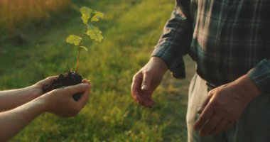 Doğa tarafından beslenen miras, umut ve yeni başlangıçlara dayanan bir bağ. Gün batımında çimenli bir patikada fidan değiş tokuşu yapan eller..