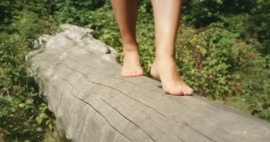 Çıplak ayaklar, güneşli bir günde bir orman yolunda dengelenmiş büyük bir ağaç gövdesi boyunca yürür..