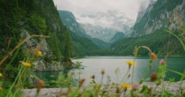 Ön planda kır çiçekleri ve arka planda sisli tepeleri olan nefes kesici dağlık bir göl..