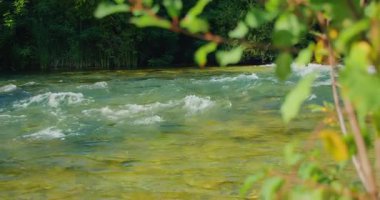 Hırvatistan 'da yaz aylarında yeşil ormanda kayaların üzerinden akan sığ ve temiz bir nehir.