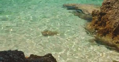 Güneş ışığının yaz sabahında berrak deniz suyuna yansıdığı sığ kayalık bir sahil..