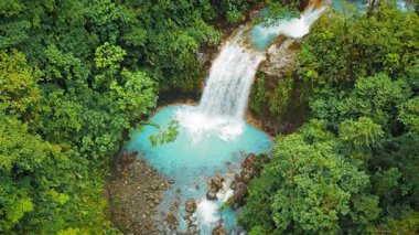 Kosta Rika 'daki parlak turkuaz havuzuna şelale düşüyor. Yeşil yemyeşil yağmur ormanı..