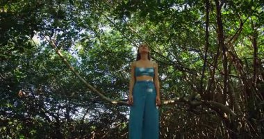 Yoğun mangrov ormanlarında sabahları güneş filtreleyip duruyor..