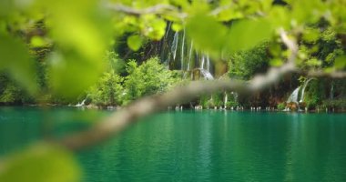 Plitvice Gölleri Ulusal Parkı 'nda yemyeşil bir ada ve çağlayan şelaleler.