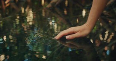 Meksika 'da gölgeli orman cenote havuzunda suya dokunurken el dalgalanmaları yaratıyor..