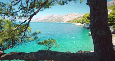 Hırvatistan 'ın Makarska kentinde güneşli bir yaz gününde çam ağaçlarının arasından görülen turkuaz deniz.