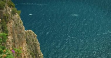 Martılar derin mavi denizin üzerinde, kayalık kayalıkların yanında uçuyor. Faraglioni, Capri 'de..