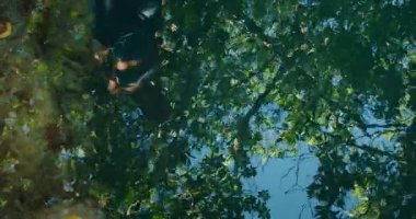 Ormanın tropikal yapraklarıyla çevrili Cenote Suyu 'nun yakınında bir kadının yansıması..