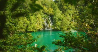 Şelale, Plitvice Gölleri Parkı 'ndaki sık yeşil ağaçlarla çevrili turkuaz göle akar..