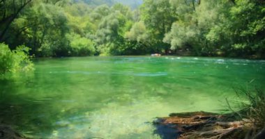 Hırvatistan 'da güneşli bir günde yoğun ormanlarla çevrili sakin yeşil nehir.