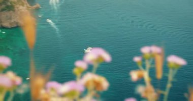 Bir yaz günü, Capri 'nin sahil kayalıkları yakınındaki turkuaz deniz üzerinde uçan martı..