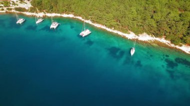 Katamarlılar Fiskardo 'daki ormanlık kıyı şeridi yakınlarındaki berrak sığ sulara demirlediler..
