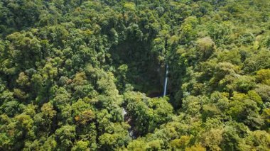 Kosta Rika 'da gizli bir şelalesi olan yoğun yağmur ormanları..
