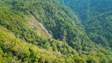 Kosta Rika 'daki gür orman vadisinden akan dağ şelalesi..