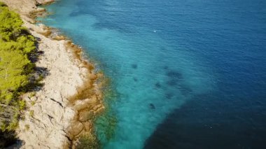 Kefalonya Yunanistan 'da yaz aylarında çam ormanlarının kıyısında kayalık kıyı şeridi ve açık sığ deniz.