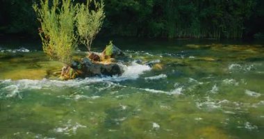 Hırvatistan 'da hızlı akan yeşil nehir deresi Cetina' da kayaların üzerinde büyüyen bitkiler.