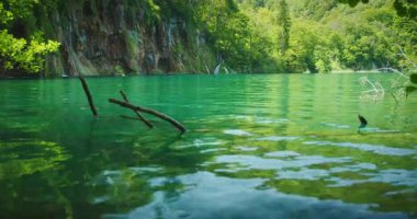 Zümrüt yeşili göl, Plitvice Ulusal Parkı Hırvatistan 'da yaz ışığı altında uçurum kenarındaki ormanı yansıtıyor.