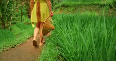 Yaz Bali 'de yemyeşil pirinç tarlası yolunda yürüyen bir kadın..